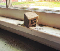 Residential Wild Fire case study property