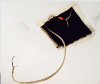 Electrical Fire Damage case study property