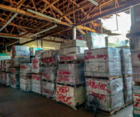 Commercial Collapse case study property