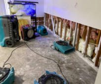 Residential Water Damage case study property